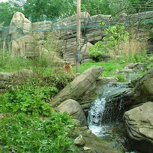 Tiger exhibit at Brno, 27/05/10