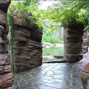 Tiger exhibit at Brno, 27/05/10