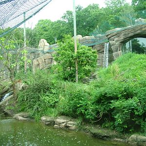 Tiger exhibit at Brno, 27/05/10