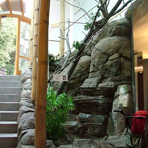 Giant Squirrel exhibit at Brno, 27/05/10