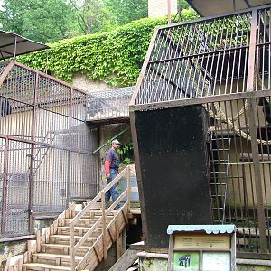 Chimp house renovation at Brno, 27/05/10