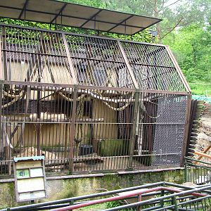 Chimp house renovation at Brno, 27/05/10