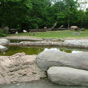Mixed South American exhibit at Brno, 27/05/10