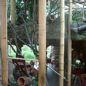 Restaurant at Brno, 27/05/10