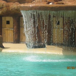 sea lion waterfall