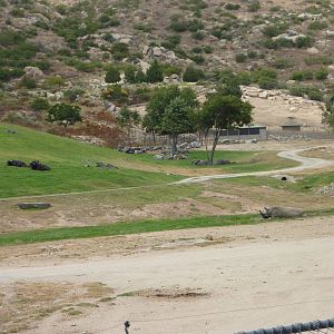 6-12-10 JiA South Africa