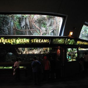 Rivers - Southeast Asian Streams Exhibits