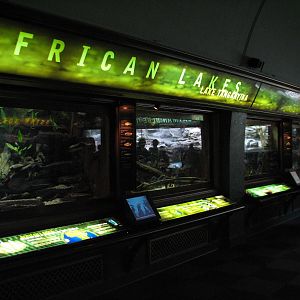 Islands and Lakes - African Lakes Exhibits