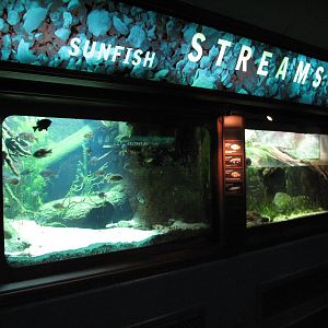 Local Waters - Streams Exhibits