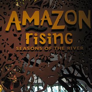 Amazon Rising - Sign