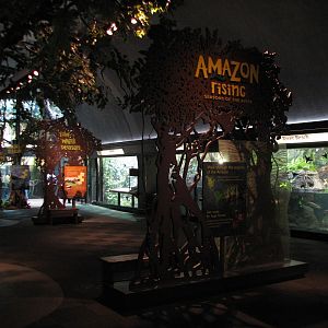 Amazon Rising - Entrance