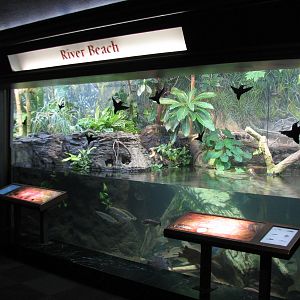 Amazon Rising - River Beach Exhibit