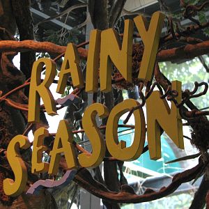 Amazon Rising - Rainly Season Sign