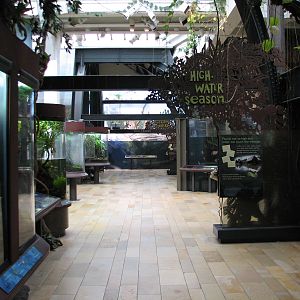 Amazon Rising - High Water Season Gallery