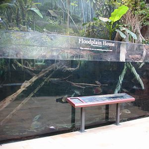 Amazon Rising - Floodplain House Exhibit