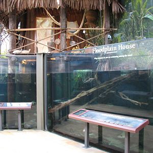 Amazon Rising - Floodplain House Exhibit