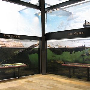 Amazon Rising - River Channel Exhibit