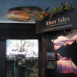 Amazon Rising - River Tales Sign