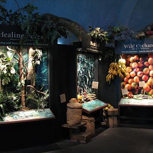 Amazon Rising - River Tales Displays