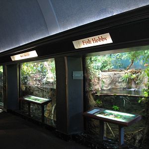 Amazon Rising - River Tales Exhibits