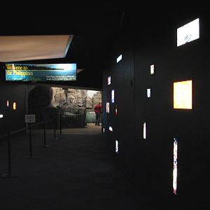 Wild Reef - Entry Hall