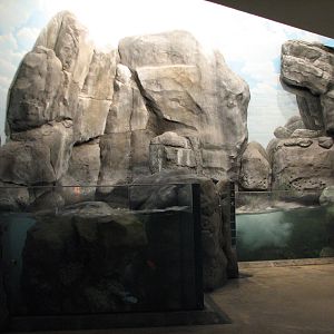 Wild Reef - Shoreline Surf Exhibit