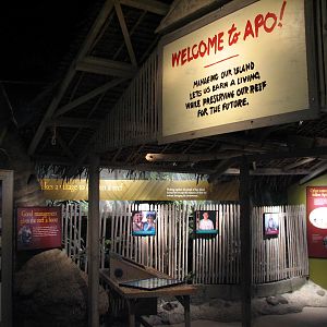 Wild Reef - Apo Management Display