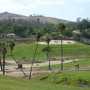 6-12-10 Segway Tour - East Africa