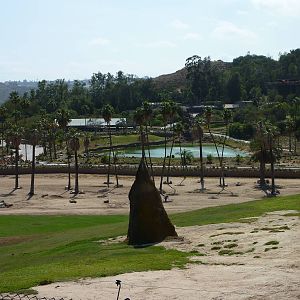 6-12-10 Segway Tour - East Africa