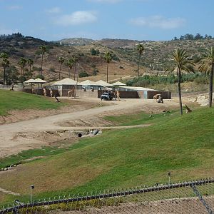 6-12-10 Segway Tour - East Africa