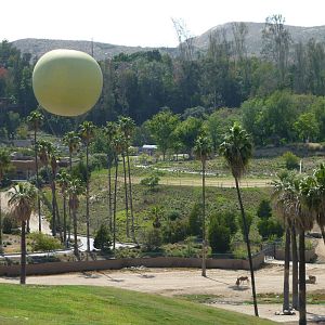 6-12-10 Segway Tour - East Africa