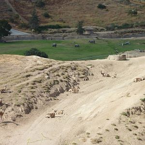 6-12-10 Segway Tour - Central Asia
