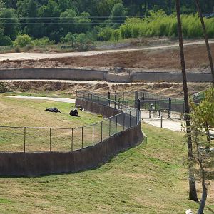 6 -12-10 Segway Tour - Border of East Africa and Central Asia