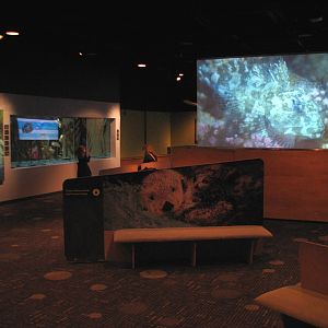 Oceanarium - Welcome Center