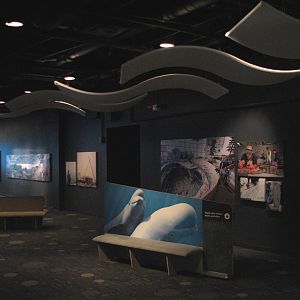 Oceanarium - Welcome Center