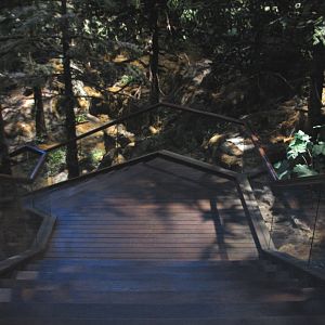 Oceanarium - Otter Trail