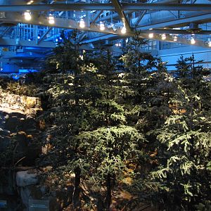 Oceanarium - Otter Trail Area