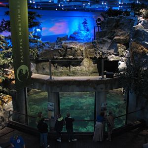Oceanarium - Sea Otter Exhibit - Upper Viewing Area