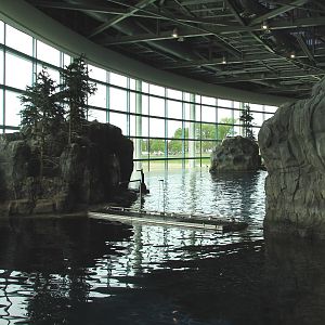 Oceanarium - Pacific White-sided Dolphin Exhibit - Holding Area