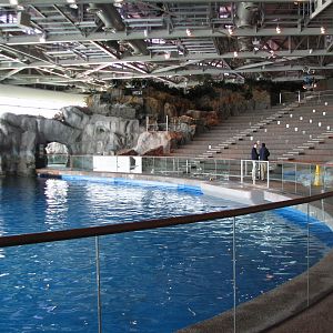 Oceanarium -  Pacific White-sided Dolphin Exhibit and Fantasea Amphitheater