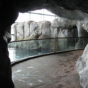 Oceanarium - Beluga Whale Exhibit Holding Area