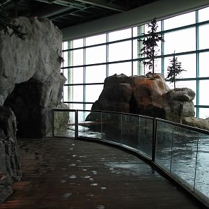 Oceanarium - Beluga Whale Exhibit Holding Area