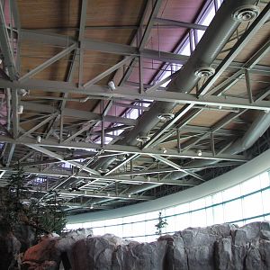 Oceanarium - Beluga Whale Exhibit - Ceiling