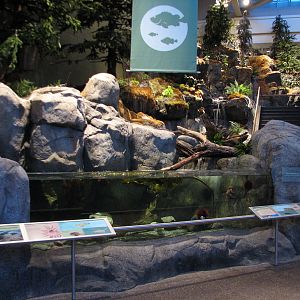 Oceanarium - River Mouth Estuary Exhibit