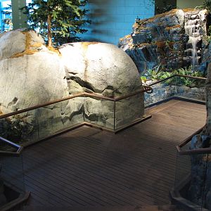 Oceanarium - Beluga Trail