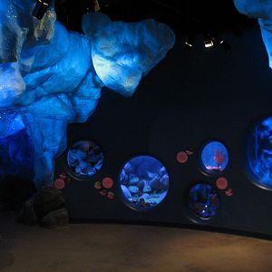 Oceanarium - Icy North - Play Area