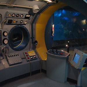 Oceanarium - Icy North - Play Area