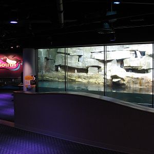 Oceanarium - Icy South - Penguin Exhibit