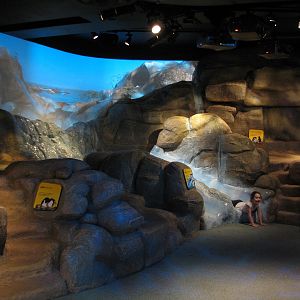 Oceanarium - Icy South - Play Area