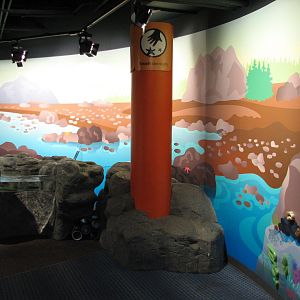 Oceanarium - Shallow Ocean - Touch Tank